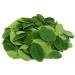 100g Poudre de Moringa PREMIUM PLUS - Feuilles de Moringa en Poudre - Nutritive - 100% Naturel Pur et Sans Additifs - TazarinLtd - Buy Online on GoSupps.com