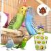 EsEico Reusable Parrots Nappy Pure Cotton Bird Washable Diapers Soft Parrot Nappy Multicoloured Printed Design Adjustable Cotton Fabric Pee Pads for Medium Parrots Cockatiels and Lovebirds. Kiwi - Buy Online on GoSupps.com