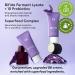 MISSHA M PERFECT COVER S rum BB CREAM No.21 Beige clair soin de la peau couleur hydratante complexe de superaliments couverture modulaire peau de cristal sans p - Buy Online on GoSupps.com
