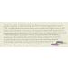 Yardley English Lavender Bar Soap 4.25 Oz | Pack of 6 | International Shipping Available - Buy Online on GoSupps.com