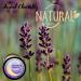 Natural Sleep Balm with Lavender, Bergamot, and Camomile Essential Oils for Relaxing Sleep | Valerian Root Infused Balm for Good Night Sleep Aid - Buy Online on GoSupps.com