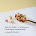Nature's Path Organic Honey Almond Granola 700 g (Pack of 1) Gluten Free Non-GMO - Buy Online on GoSupps.com