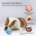 BENTOPAL Interactive Wicked Ball Toy for Indoor Cats/Dogs - Motion Activated, USB Rechargeable, Blue - Buy Online on GoSupps.com