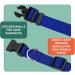 Dey Premium Adjustable Dog Collar - Nylon Blue L | For Small & Large Dogs Cats & Puppies | Many Sizes & Colors Available - Buy Online on GoSupps.com