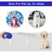 Beaface Retractable Dog Lead for Small Medium Dogs Up to 20KG Retractable Dog Leads 16ft/5M Extendable Dog Leads with Anti-Slip Handle Anti-Tangled Strong Nylon Tape (Blue) - Buy Online on GoSupps.com
