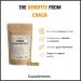 Cupplement | Chaga Capsules 60 pieces | Organic | 450 mg per capsule of the highest quality | 2 capsules per day | mushroom - Buy Online on GoSupps.com