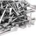 Steel Horseshoe Nails 250Pcs Horseshoe Nails Nail Palm for Horse Horseshoe Nail Horseshoe Nail Horse Horseshoe Nail for Horse Race Horse - Buy Online on GoSupps.com