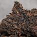 Th Pu'er Chinois 357g (0 787LB) Th Puer m r Th Noir Premium Bourgeon Dor  - Buy Online on GoSupps.com