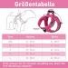 Buy Rose Padded Dog Harness for Small Dogs | Comfortable XS Puppy Harness for Ultimate Safety - Buy Online on GoSupps.com