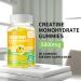 Creatine Monohydrate Gummies 5g - Sugar-Free Chewable Supplement for Men & Women | 180 Lemon Gummies - Boost Energy & Performance - Buy Online on GoSupps.com