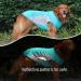 Dog Cooling Vest | Breathable Mesh Summer Jacket | Comfortable Dog Coat L - Blue - Buy Online on GoSupps.com