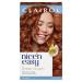 Clairol Nice'n Easy Permanent Hair Dye 6R Light Auburn Hair Color 1 Count