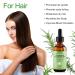 100% Pure Organic Rosemary Essential Oil for Hair Growth & Nourishment | Natural Hair Loss Treatment for Men & Women - 2 Fl Oz - Buy Online on GoSupps.com