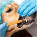 HANABASS 8pcs Double Head Dog Toothbrush Cat Care Pet Toothpaste Pet Oral Health Dual-head Brush Pp 1 count (Pack of 1) As Shown - Buy Online on GoSupps.com