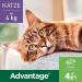 Elanco Advantage Spot-On 80 for Large Cats & Rabbits | Flea Protection for 4-8 kg | 4 Pipettes - Effective & Easy Application - Buy Online on GoSupps.com
