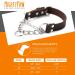Mighty Paw Leather Martingale Dog Collar | Premium No Pull Training Collar for Dogs - Stainless Steel Chain Cinch - Large, Medium, Small - Brown - Buy Online on GoSupps.com