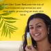 Goody2 Sunscreen Serum - SPF 50 Hydrating Face Sunscreen with Squalane - 1.69 fl oz - Broad Spectrum for All Skin Types and Tones - Buy Online on GoSupps.com