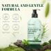 Rosemary Hair Growth Shampoo | Strengthening Rosemary Mint Formula with Tea Tree Biotin & Castor Oil for Thinning Hair - 11.8 Fl. oz - Buy Online on GoSupps.com