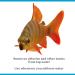 Interpet Bioactive Tapsafe Aquarium Water Dechlorinator 500ml | Fish Tank Conditioner | Fast-Acting & Safe for Fish - Buy Online on GoSupps.com