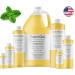 Plant Guru Peppermint Fragrance Oil 4 fl. oz - Aromatherapy Oil for Soap Candles Bath Bombs & Diffusers - International Shipping Available - Buy Online on GoSupps.com