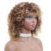 Ombre Afro Kinky Curly Wigs for Black Women | Synthetic Curly Hair - Perfect Daily Style - Buy Online on GoSupps.com