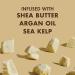 SheaMoisture Raw Shea Butter Shampoo - Deep Moisturizing for Dry, Damaged, or Transitioning Hair - Sulfate-Free - 13oz - Buy Online on GoSupps.com