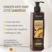 Ginger Shampoo and Conditioner Set 3 Hair Care Kits Moisturizes and Controls Frizz with Strengthening Formula Anti Hair Loss Serum Nourishing for All Hair Types - Buy Online on GoSupps.com