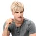 STfantasy Men's Blonde Short Straight Layered Wig - Two-tone Mixed Cosplay Wig for International Shipping - Buy Online on GoSupps.com