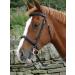 Turners Stunning Black Leather Snaffle Cavesson Horse Riding Bridle with Reins (Pony) - Buy Online on GoSupps.com