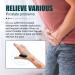 Acuplus Prostate Care Point Clip - Acupressure Relief for Prostate Complaints (1PC) - International Shipping - Buy Online on GoSupps.com
