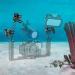 Seafrogs 1'' Aluminum Ball Clamp Mount - Black Underwater Diving Light Holder (2PCS) - Buy Online on GoSupps.com