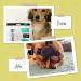 Himmaleh Yak Chews for Dogs - Yak chews for dogs small and puppies (pack of 6) - Protein Rich Dog Chews Long Lasting Natural - Yak Milk Chews - Yak Bars for Dogs - Healthy Yak Snack for small Breeds Small (Pack of 6) - Buy Online on GoSupps.com
