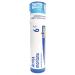 Boiron Homeopathic Medicine Arnica Montana 6C Pellets 80-Count Tubes (Pack of 5) 6c 80 Count (Pack of 5)