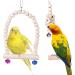 Bird Toys - 9 Piece Parrot Swing Set & Cage Accessories | Wooden Platforms for Budgies Finches & Nymphensittiche - Buy Online on GoSupps.com