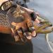 BB Hapeayou Fishing Gloves 3 Fingerless Anti-Slip Gloves for Men & Women | Waterproof Windproof Outdoor Sports Gear | Perfect for Fishing & Cycling (1 Pair) - Buy Online on GoSupps.com
