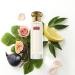 Tocca Lucia Women's Perfume 0.68 oz. (20 ml) - Fresh Floral Fragrance Featuring Italian Lemon Fig and Vetiver 0.68 Fl Oz (Pack of 1) - Buy Online on GoSupps.com
