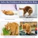 Wusanna Cat Spray - Anti-Scratch & Cat Defense Spray (50ml) for Indoor & Outdoor Use | Protect Furniture from Scratching - Buy Online on GoSupps.com