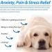 Pet Hemp Oil Omega 3 6 9 for agitated Dogs Barking Dogs and Dog Joints to Support Traveling and Keep Joints Healthy 2 fl.oz - Buy Online on GoSupps.com