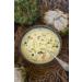 Herbal Magic Custard Apple Powder - Pure & Natural for Vibrant Smoothies, Shakes, Juices, Baking - 100g Pack - Irresistibly Delicious for Active Lifestyles - Buy Online on GoSupps.com