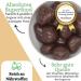  1001 Frucht Dark chocolate ginger pralines - ginger chocolate - chocolate ginger - delicacy - excellent quality (500g) - Buy Online on GoSupps.com