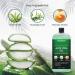 100% Pure Aloe Vera Gel with Tea Tree Oil & Manuka Honey - Moisturizer for Skin, Hair, and Sunburn - Hand Sanitizer for Acne & Eczema - 16.9 fl oz (Eucalyptus) - Buy Online on GoSupps.com