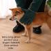 Jomewory Bite-Proof Gloves for Dogs & Cats - Water-Repellent Scratch-Resistant 60cm Protective Gloves for All Pets - Buy Online on GoSupps.com