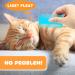 12Pcs Flea Comb for Cats Dogs Cat Dog Flea Comb with Double Side Tooth Flea Brush for Dogs Cats with Fine Tooth for Effective Flea Removal Pet Flea and Tick Comb for Small Cats Dogs Kitten Indoor - Buy Online on GoSupps.com