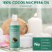 Fractionated Coconut Oil - Pure Carrier Oil for Essential Oils & Massage | Best Coconut Oil for Skin (8 Fl Oz) - Aceite De Coco para La Piel - Buy Online on GoSupps.com