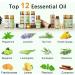 Hyppry Natural Essential Oils for Home Diffuser - 12 x 5ml Set with Tea Tree, Lavender, Peppermint, and More - Buy Online on GoSupps.com