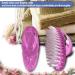 Nail Brush for Cleaning Stiff Bristles Fingernails Brush with Handle for Mechanics and Gardeners All-Purpose Cleaning Brush for Home Kitchen - 6 Pack Pink 6 Packs Pink - Buy Online on GoSupps.com