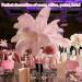 OstrichFeather Wedding Decor | Natural OstrichPlumes | Feather Accessories for Clothing Wedding Feather Centerpieces OstrichFeather Bouquet Bulk Ostrichfeathers - Buy Online on GoSupps.com