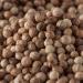 Bremer Gew rzhandel Whole Coriander Seeds - 75g for Cooking & Baking | Premium Quality Spice - Buy Online on GoSupps.com