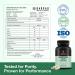 Bargad Serotonin Support Supplement Helps Boosts 5HTP Serotonin & Cortisol Levels Herbal Blend Promotes Positive Mood Calmness Stress Relief | Happy Mood & Brain Support | 60 Capsule - Buy Online on GoSupps.com