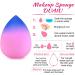 DUAIU 3pcs Gradient Makeup Sponge Blender Set | Beauty Blender for Foundation, Concealer, and Powder Puff - Buy Online on GoSupps.com